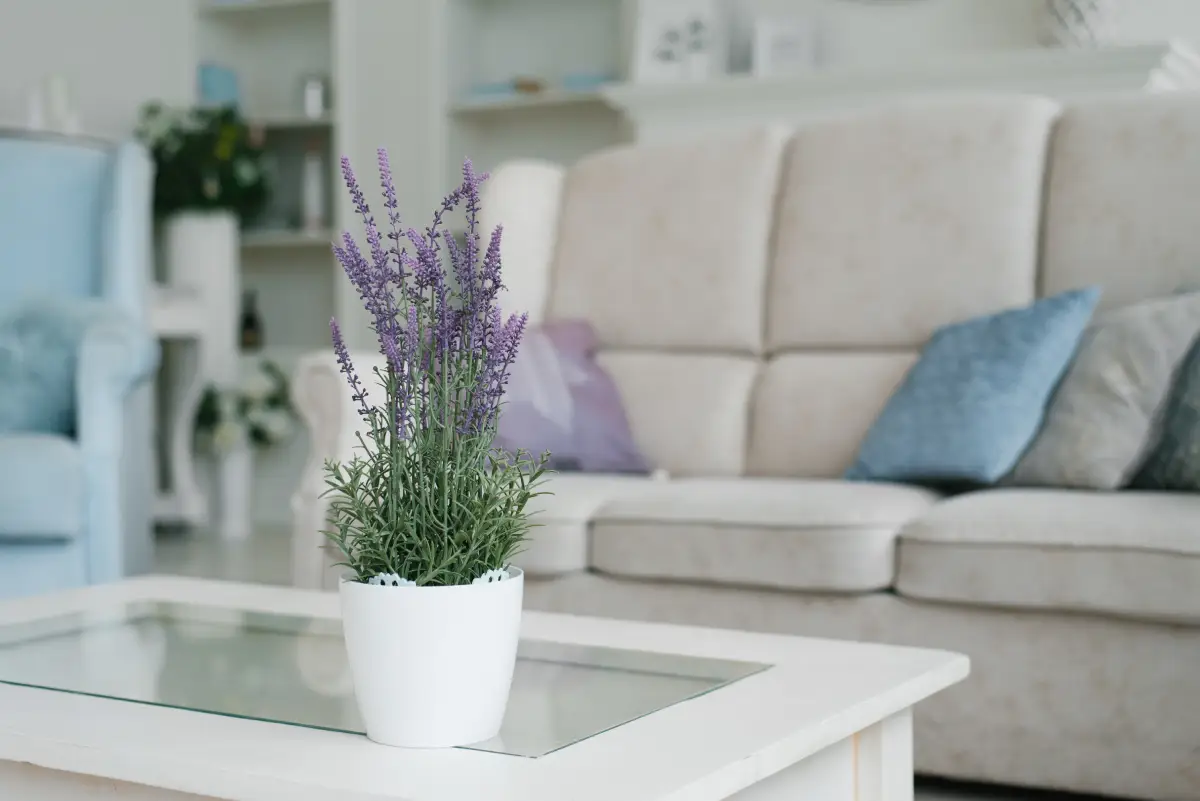 From Rule Frustration to Guest Satisfaction: Perfecting House Guidelines for Your Santa Fe Vacation Rental